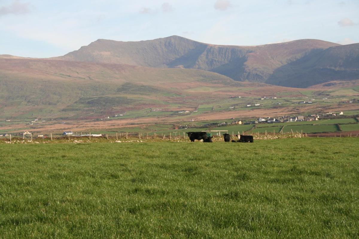 Coill An Rois B&B Ballydavid Exterior photo